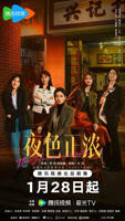 正在播放《夜色正浓》电视剧全集免费在线观看高清完整版