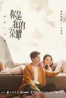 你是我的荣耀电视剧免费观看完整版