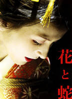 《花与蛇4》电影免费在线观看高清完整版