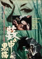 《黑猫》电影免费在线观看高清完整版